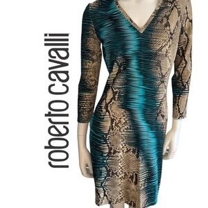 Roberto Cavalli Teal and Beige Snake-Print Long Sleeve Dress